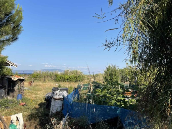 Κτήμα Αγγελία 17611