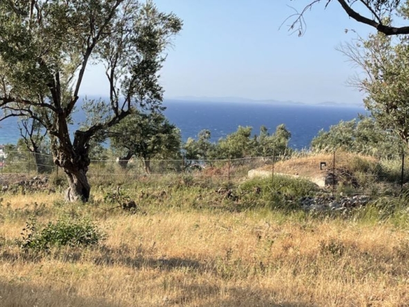 οικόπεδο 17636