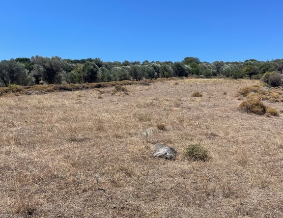 Αγρόκτημα 17646