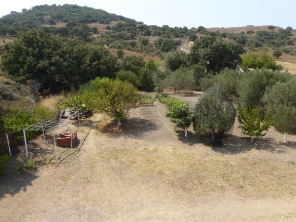 Συγκρότημα 17650