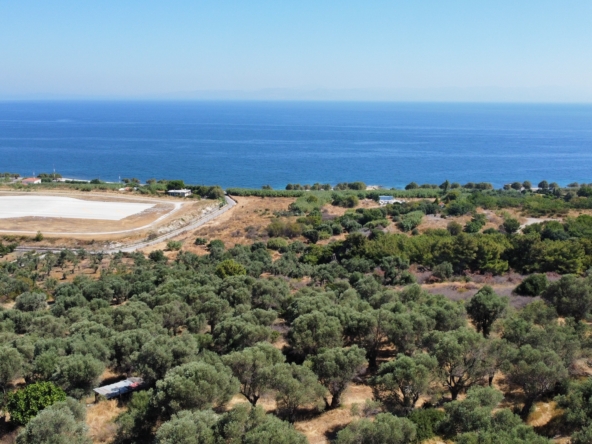 ΟΙΚΟΠΕΔΟ 17687