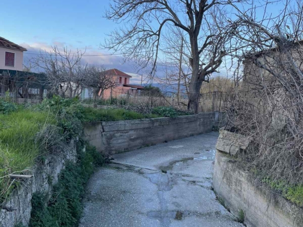 ΟΙΚΌΠΕΔΟ 17699