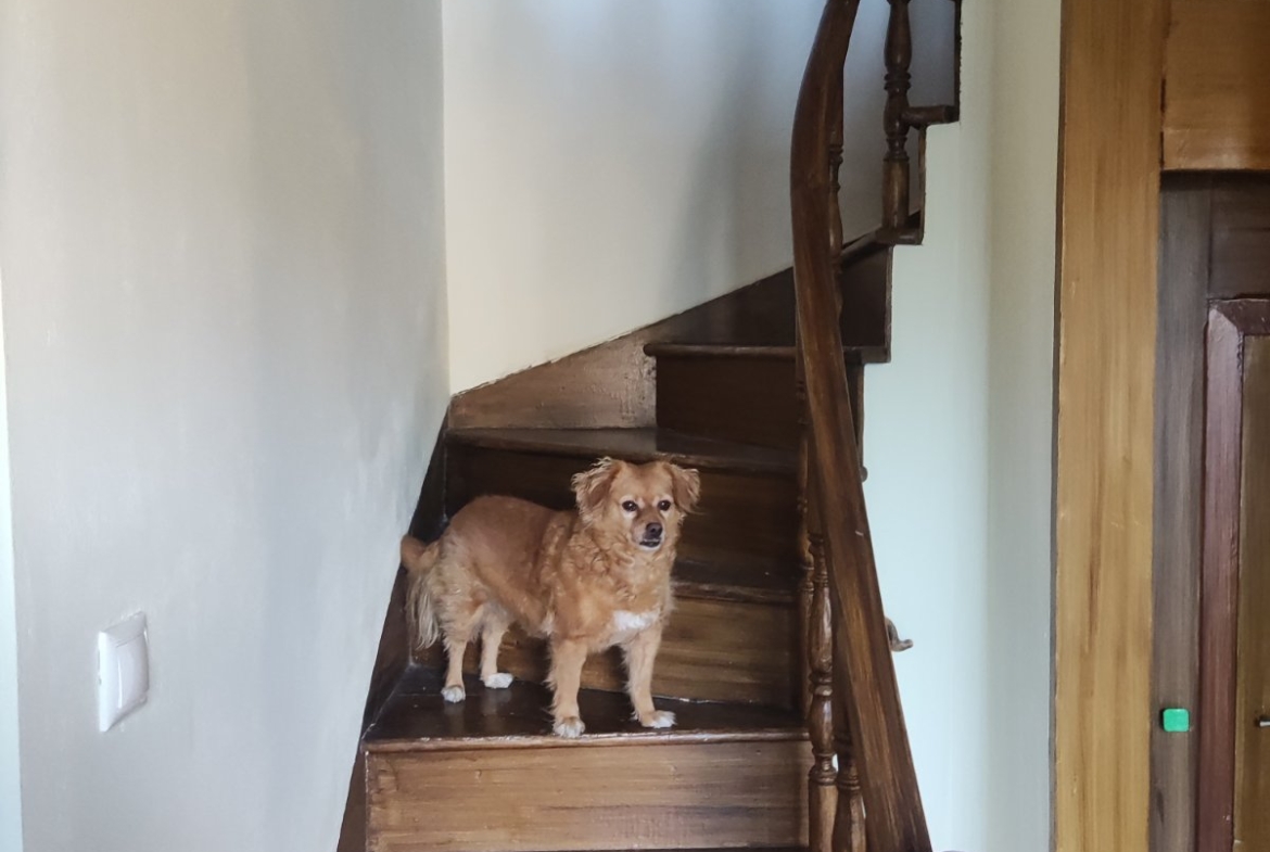 Πώληση Μονοκατοικίας Κλειώ Λέσβου Αγγελία 17500