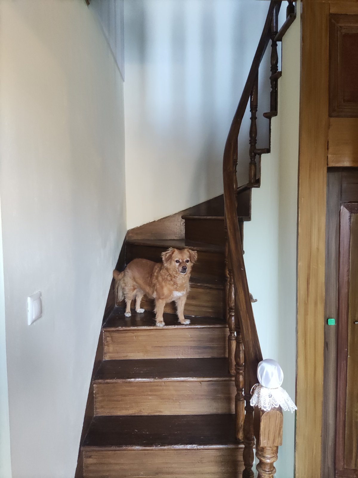 Πώληση Μονοκατοικίας Κλειώ Λέσβου Αγγελία 17500