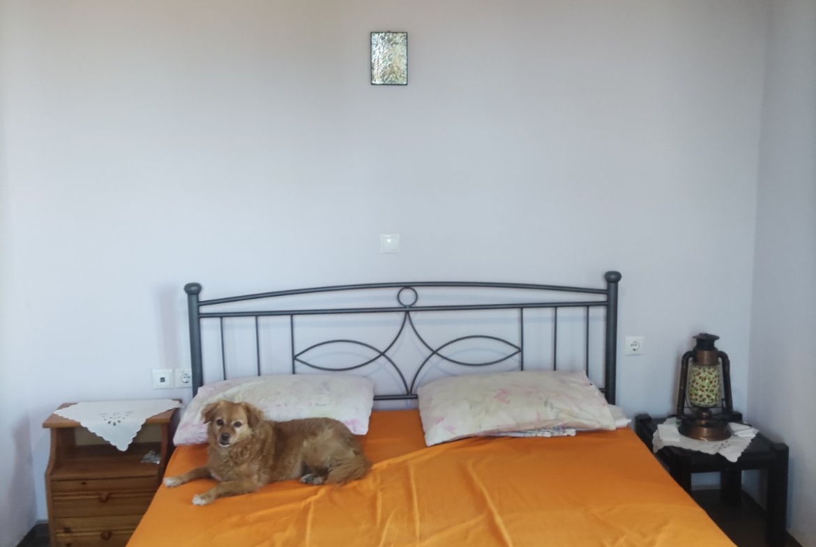 Πώληση Μονοκατοικίας Κλειώ Λέσβου Αγγελία 17500