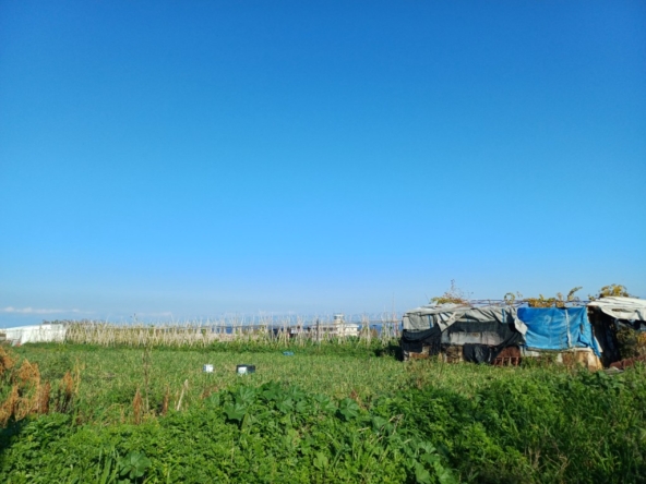 Πωλείται Κτήμα Αεροδρόμιο Αγγελία 17507