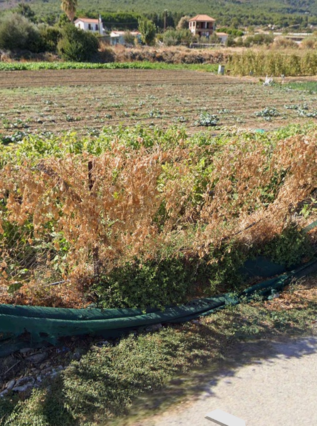 Πωλείται Κτήμα Αεροδρόμιο Αγγελία 17507