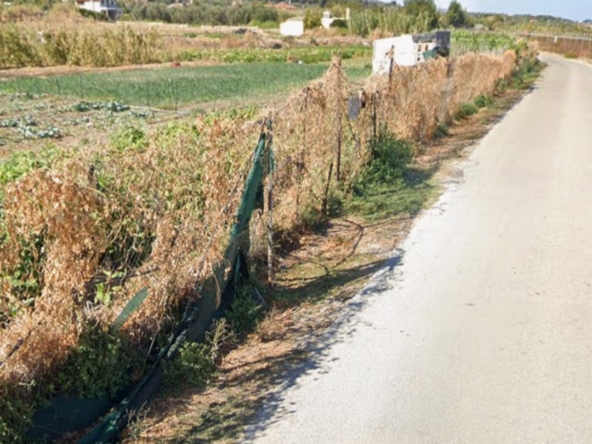 Πωλείται Κτήμα Αεροδρόμιο Αγγελία 17507