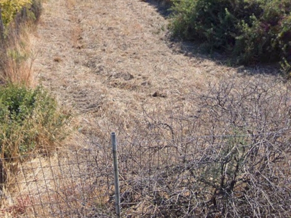 Πώληση Οικοπέδου Αγγελία 17499