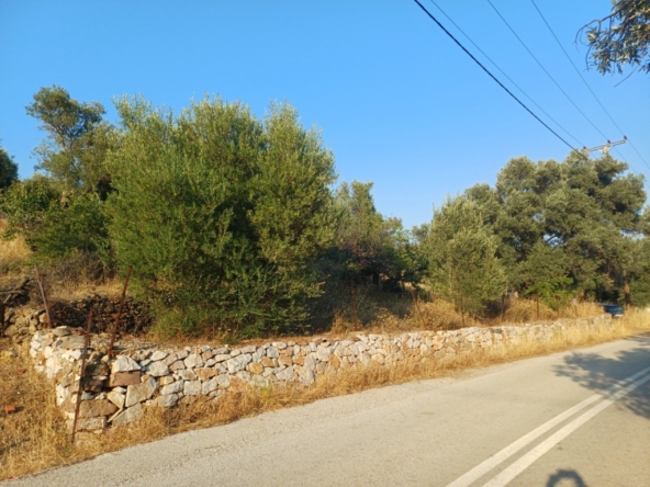 Πώληση Οικοπέδου Αγγελία 17645