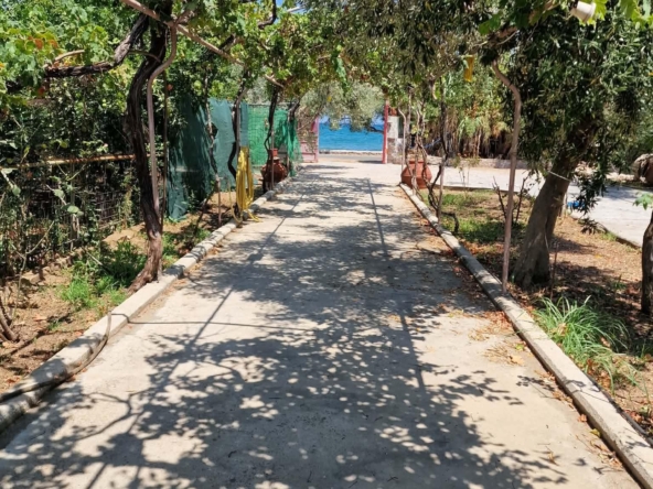 Πώληση Συγκροτήματος Αγγελία 17300