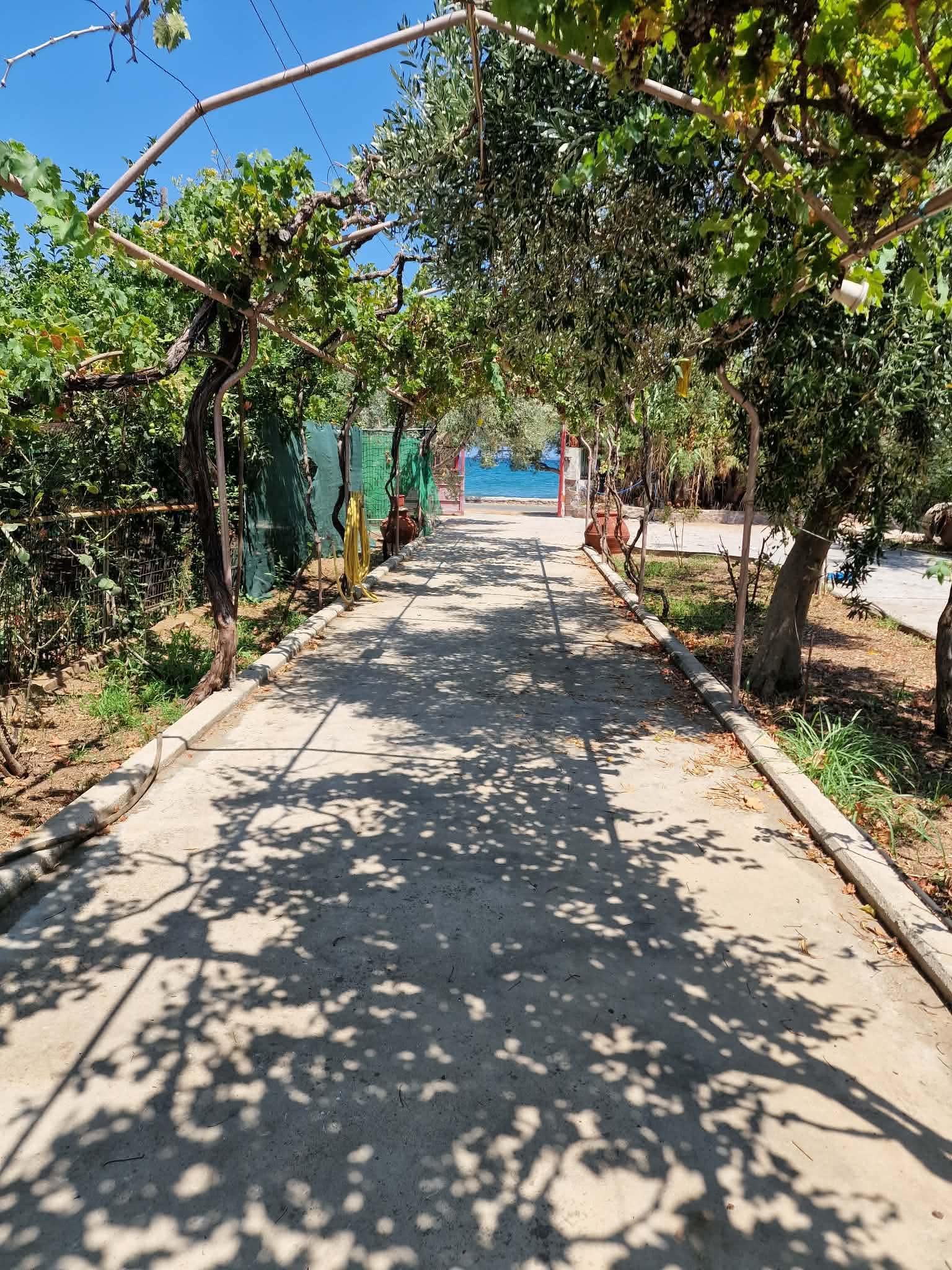 Πώληση Συγκροτήματος Αγγελία 17300